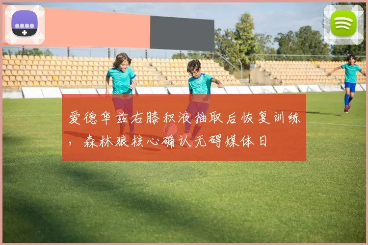 爱德华兹右膝积液抽取后恢复训练，森林狼核心确认无碍媒体日